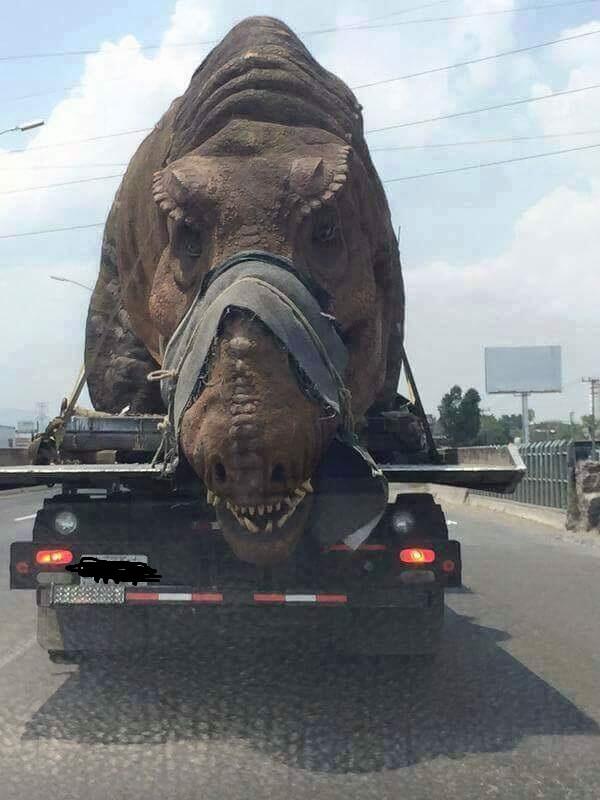 Animal Lover Masup ! RAGUNAN PUNYA KOLEKSI BINATANG BARU YANG SANGAT LANGKA !