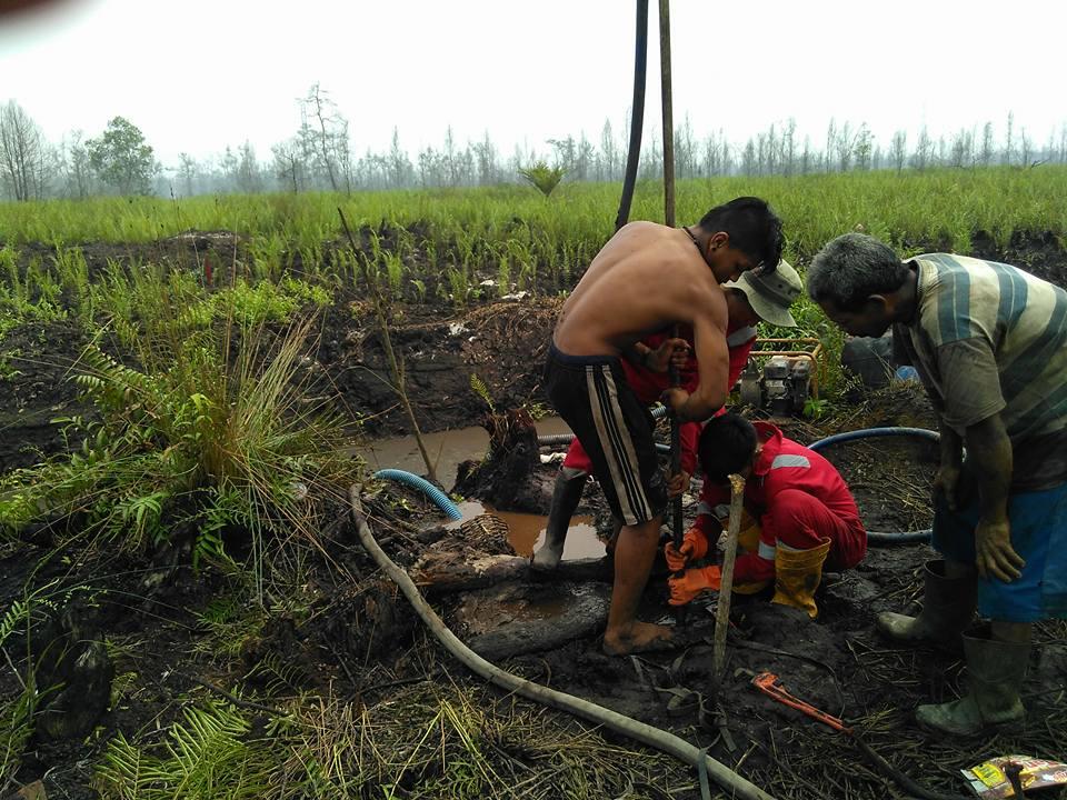 ANAK PUNK INI PATUT DI TIRU GAN SALUT!!