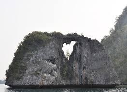 8 Spot Keren Untuk Melamar Pasangan