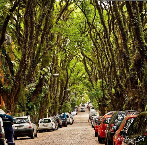 Rua Goncalo de Carvalho, Jalan Raya Paling Hijau dan Paling Cantik Sedunia