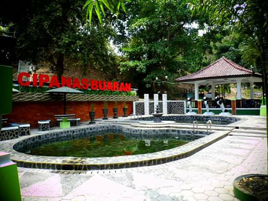 Berlibur ke Perkebunan Teh Kaligua di Kota Bumiayu
