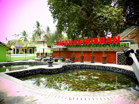 Berlibur ke Perkebunan Teh Kaligua di Kota Bumiayu