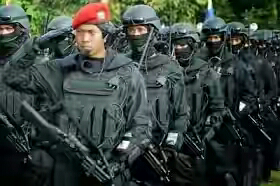 Inilah alasan Amerika takut menyerang Indonesia