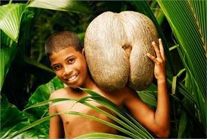 10 Fakta Unik Ini Akan Mengubah Pemikiran Kamu Tentang Buah 