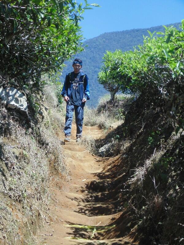Terimakasih Gunung Cikuray