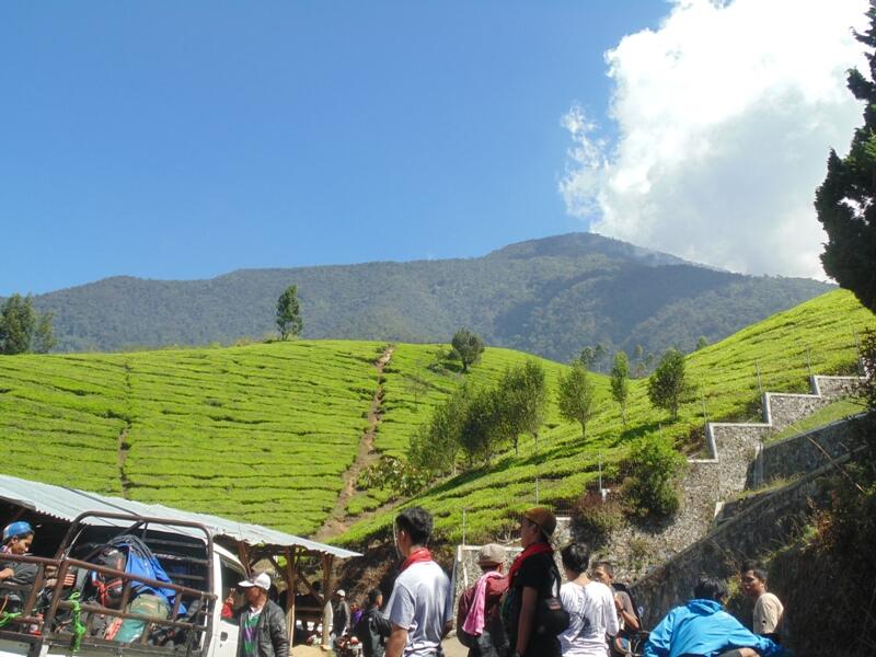 Terimakasih Gunung Cikuray