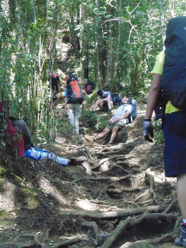 Terimakasih Gunung Cikuray