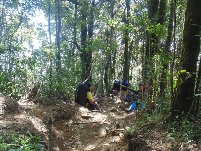 Terimakasih Gunung Cikuray