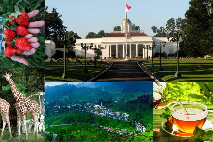 Mampir Yuk ke Kota Berhawa Sejuk di Indonesia