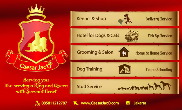 Testimonial Caesar Jac'O Kennel - Petshop - Services