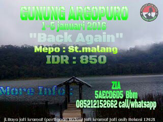 PENDAKIAN GUNUNG ARGOPURO