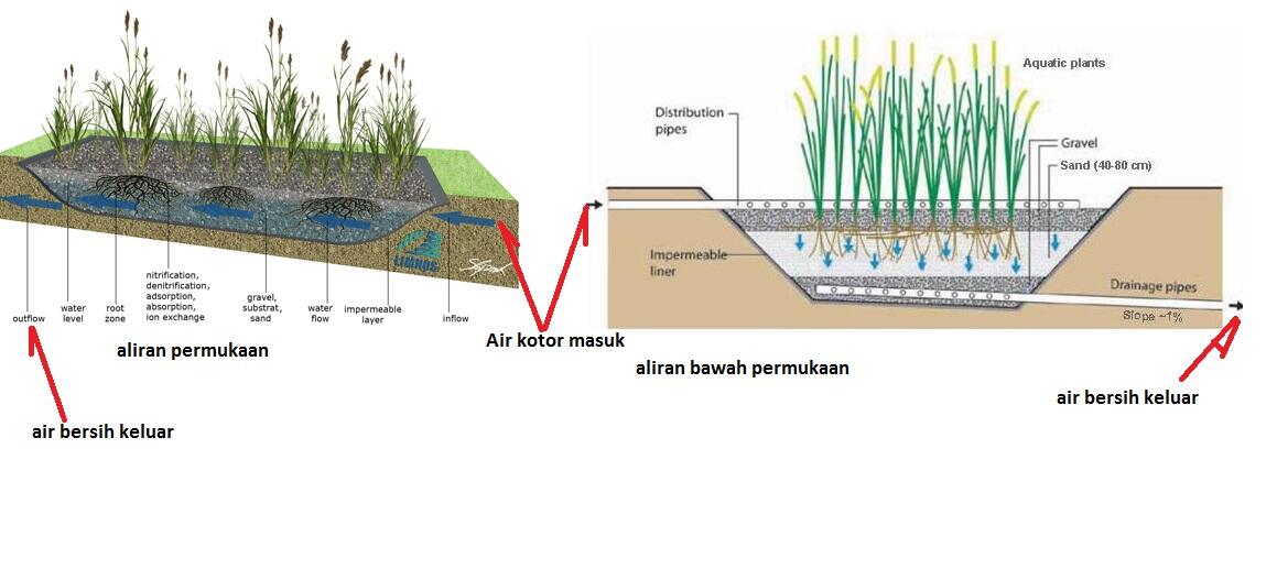 Constructed Wetlands ====&gt; Penjernih air kotor