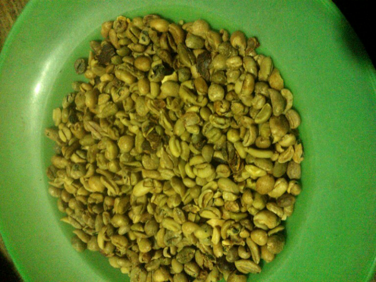 Yang tahu sejarah Kopi Sirsah / Liberica dan seputarnya mari ngobrol di sini, Gan...