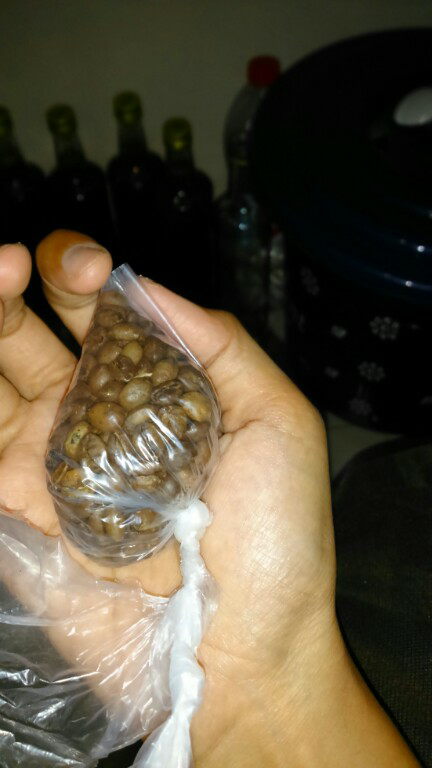 Yang tahu sejarah Kopi Sirsah / Liberica dan seputarnya mari ngobrol di sini, Gan...
