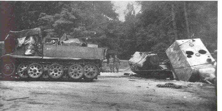 The Fallen Giant &quot;Panzerkampfwagen VIII Maus&quot;