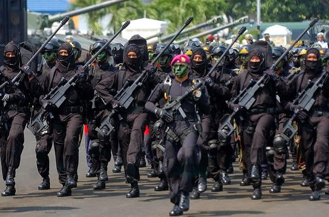 Ini dia Alutsista Paling Mematikan Milik Indonesia yang Pernah Dibuat Pindad