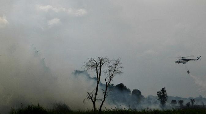 Hujan, Pemadam Kebakaran Hutan Jambi Masih Sibuk Water Bombing