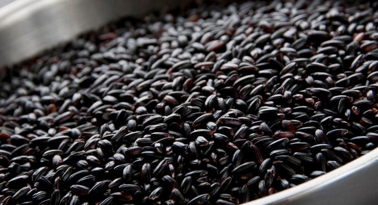Beras Hitam Bisa Sehatkan Jantung dan Cegah Diabetes