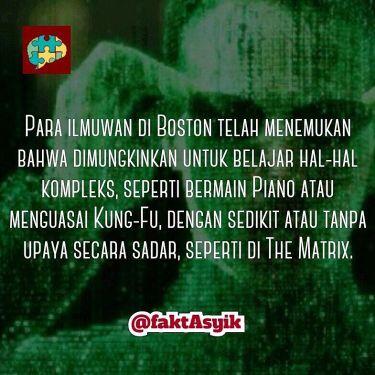 Fakta- fakta Asyik ( Update Daily )