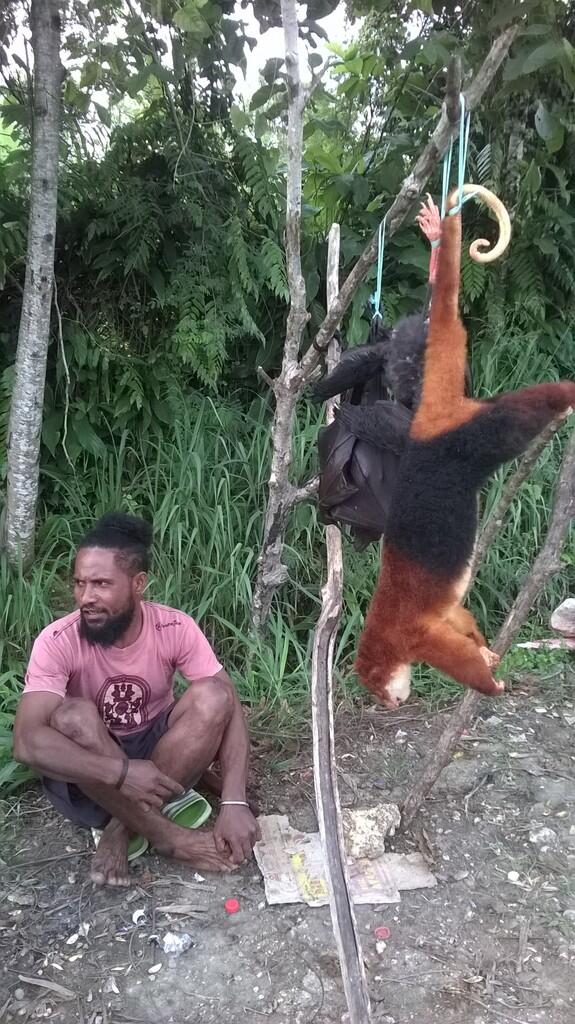 Cerita Petualangan Ke Keerom, Papua
