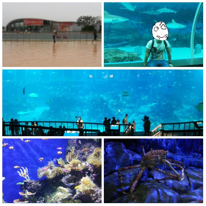 FR SINGAPORE 21-23 Oktober 2015