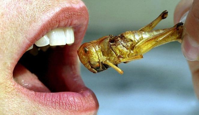 5 Makanan sederhana yang patut dicoba dirumah dan inilah khasiatnya
