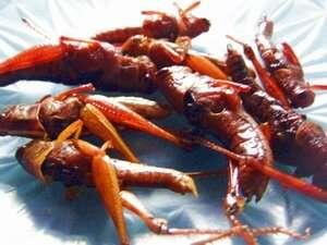 5 Makanan sederhana yang patut dicoba dirumah dan inilah khasiatnya