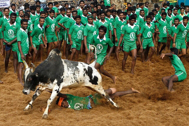 19 Ritual Aneh Yang Hanya Ada Di India 