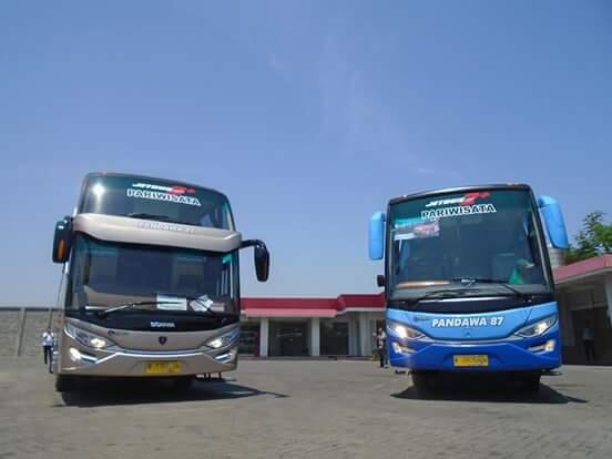 Body Bus Terbaru Yang Sedang Heboh