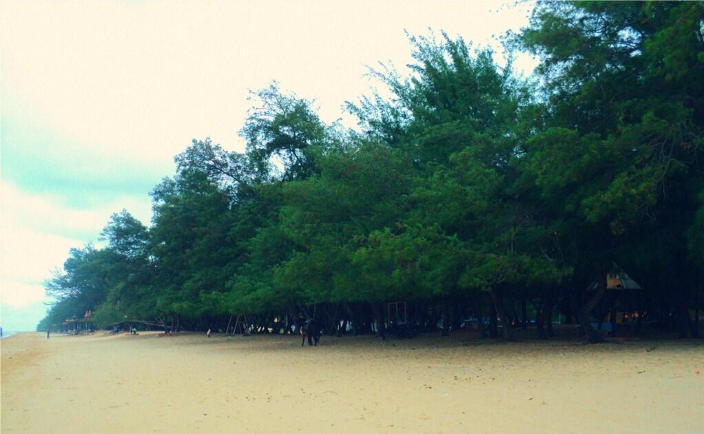 &#91;KOMBAT - Kaskuser Go Green&#93; Pasir 