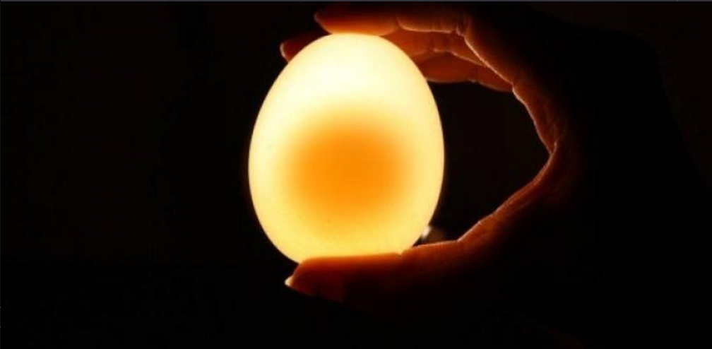Menakjubkan! Inilah Jadinya Jika Telur Direndam Dalam Cuka Selama 2 Hari