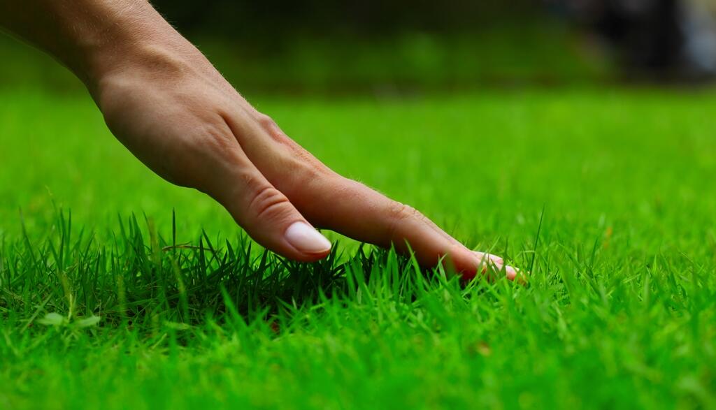 Konsep Halaman Serba Go Green