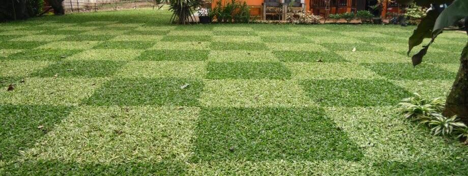 Konsep Halaman Serba Go Green