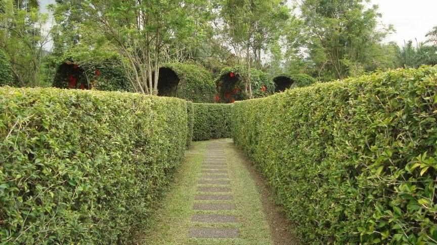 Konsep Halaman Serba Go Green