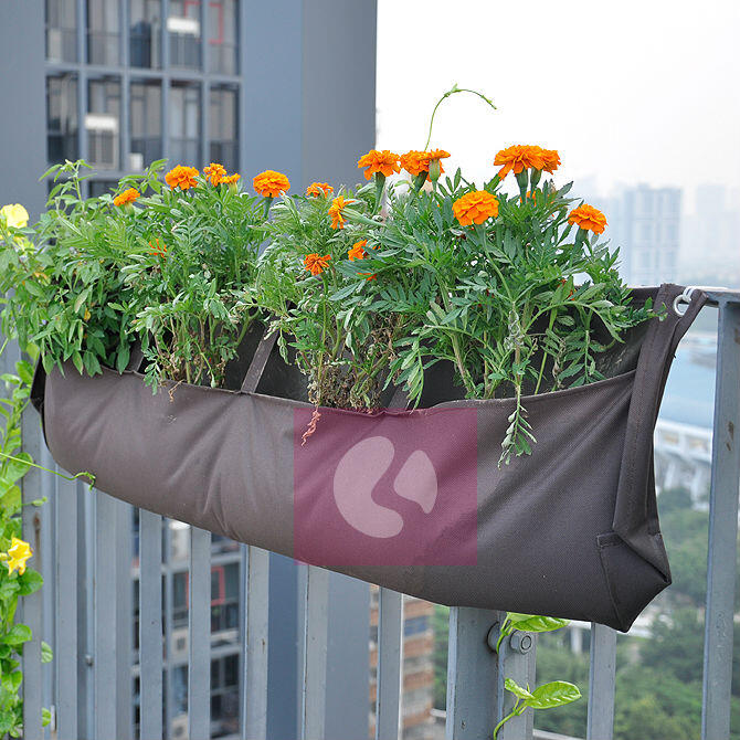 Konsep Halaman Serba Go Green