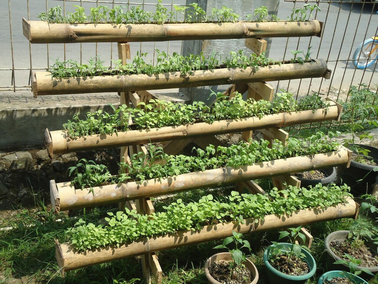 Konsep Halaman Serba Go Green