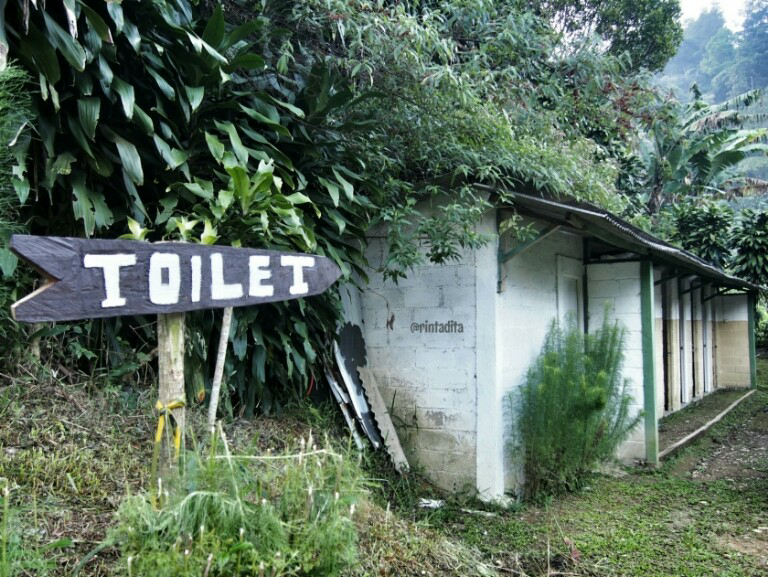Pesona Alam Tersembunyi di Curug Kembar Batulayang