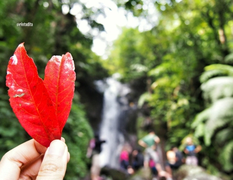 Pesona Alam Tersembunyi di Curug Kembar Batulayang