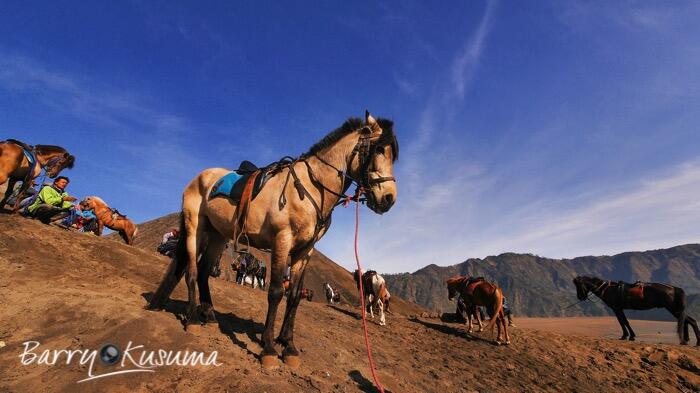 Sisi lain keindahan Gunung Bromo.