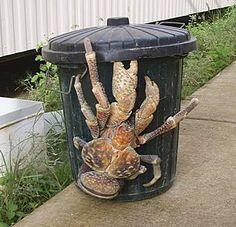 Karya Seni Tempat Sampah!! kaya Gini Donk!!