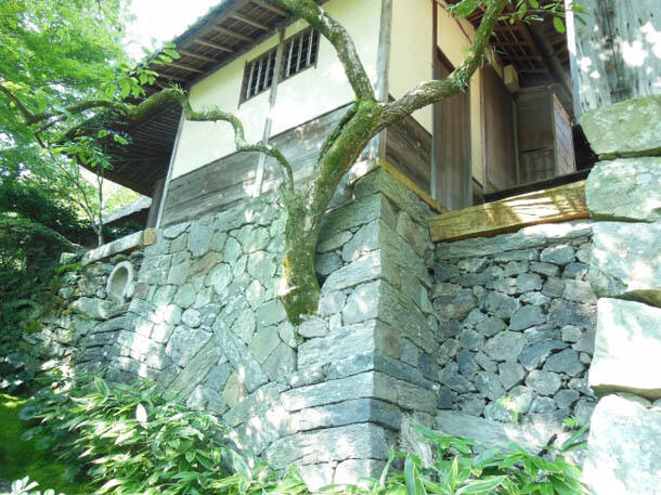 Keren Banget!! 7 Desain Bangunan Unik yang Menunjukkan bahwa Pohon Itu Penting