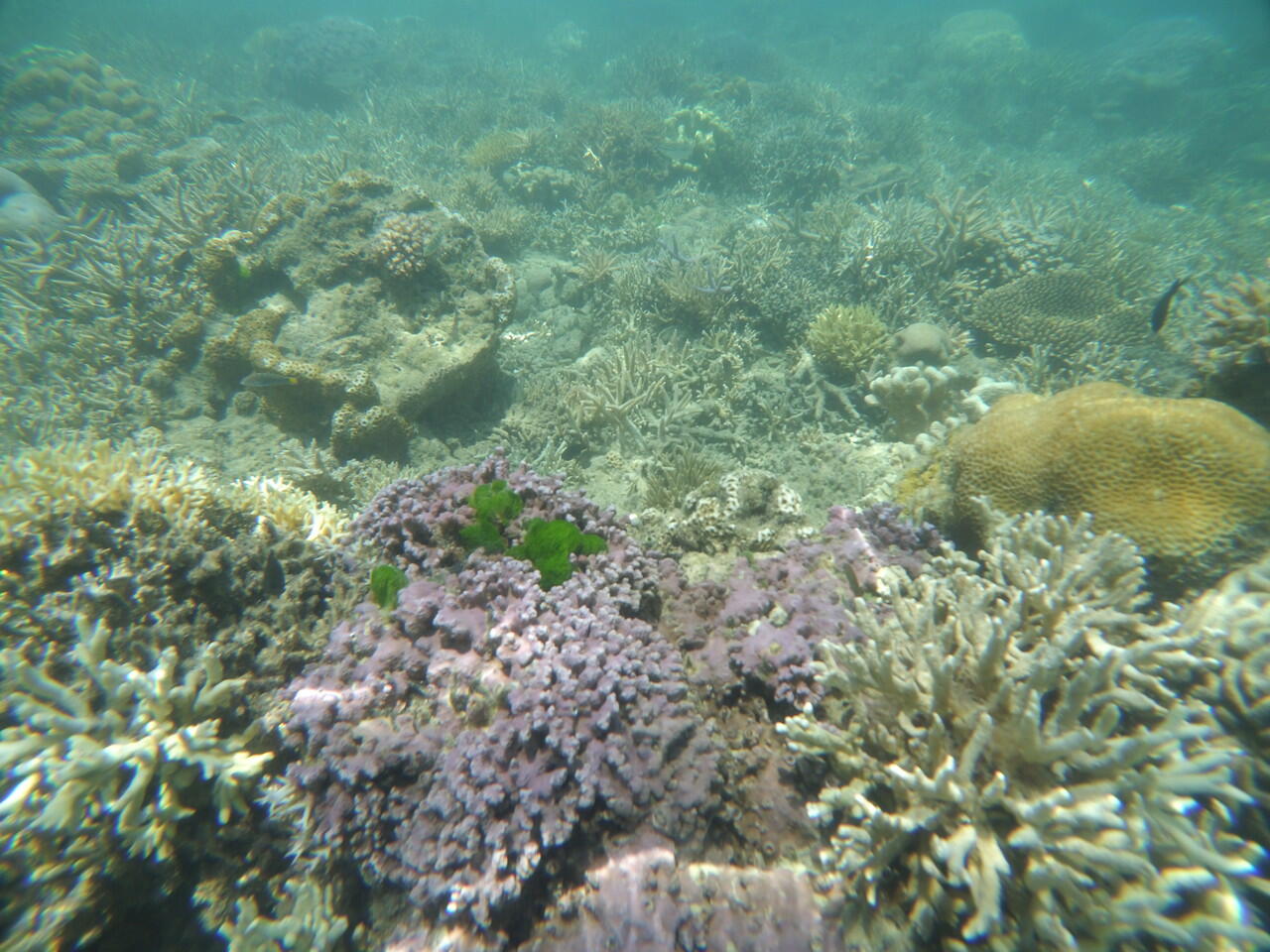 Hidden Paradise on Sumenep, Madura. GILI LABAK!