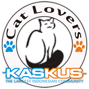 Hello Community : Kenali dan Sayangi Kucing Bersama Cat Lovers KASKUS