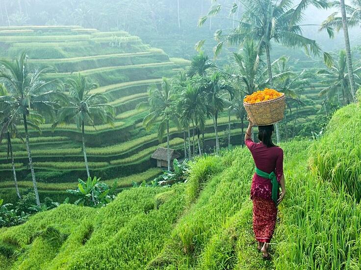 BOHONG !! KLO LO GAK KAYAK GINI DI BALI !!!