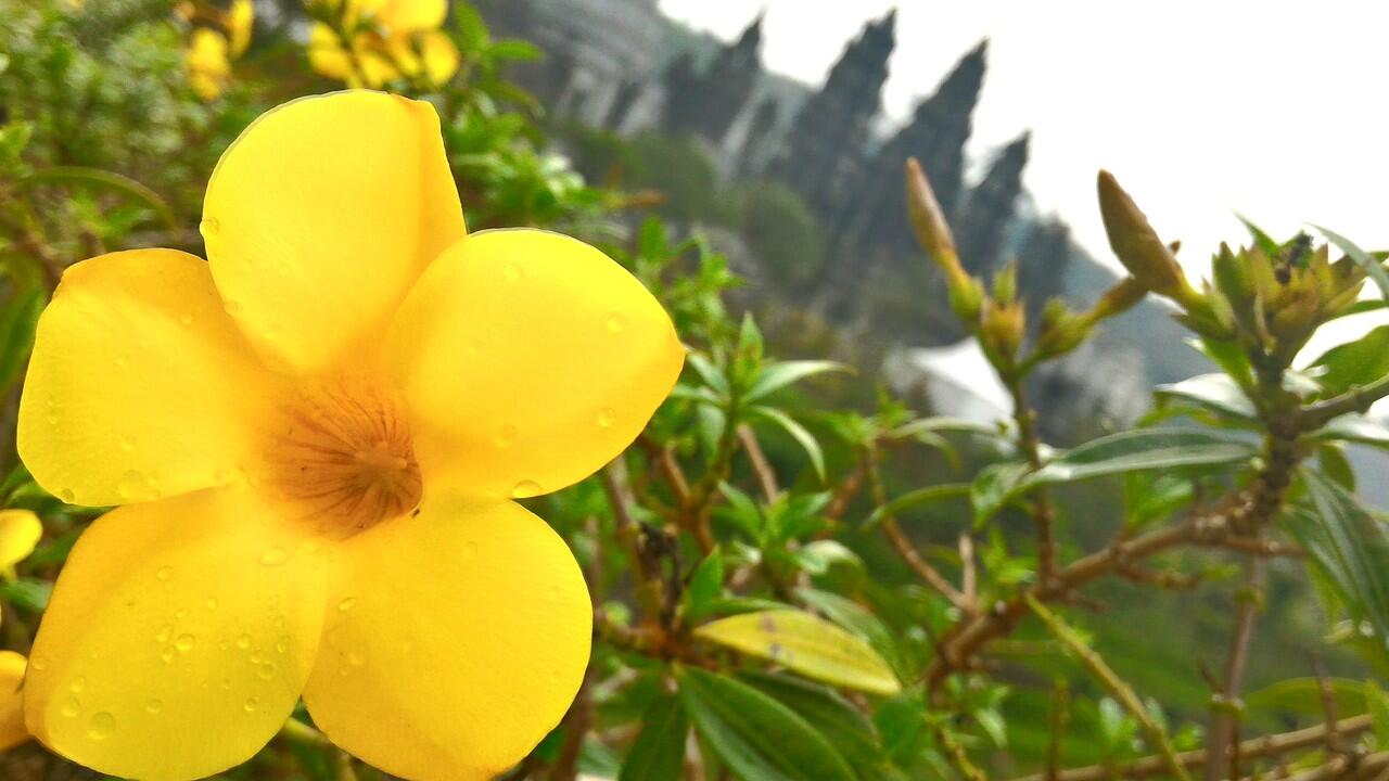 Bayu Putra Graph, Share Karya Fotografi Jepretan Hp 