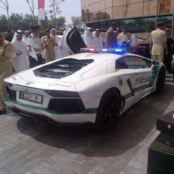 Only In Dubai!