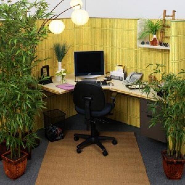 Ini yang Bisa Agan Lakukan untuk Mendukung Gerakan Go Green di Kantor