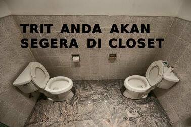 Trit Ane diklosed 