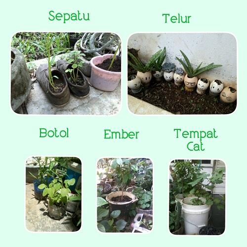 GO GREEN GO ACTION