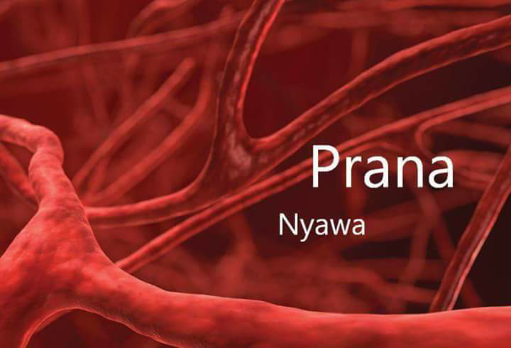 CEK ARTI NAMAMU DALAM BAHASA SANSKERTA DI SINI